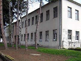 Grdelica osnovna škola Danica Maksimović
