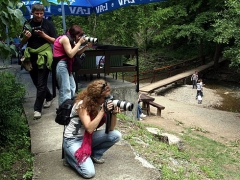 foto video kolonija Sokobanja