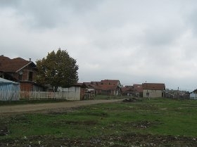 leskovac, romi naselje