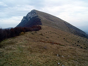 suva-planina-pozar
