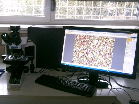 Mikroskop.jpg
