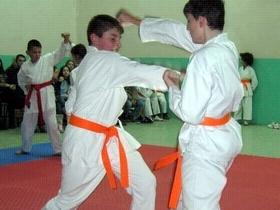 karate-KOSTA-Ilustracija-JUZNE-VESTI.jpg