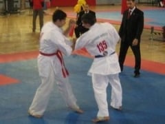 ashihara-karate.JPG