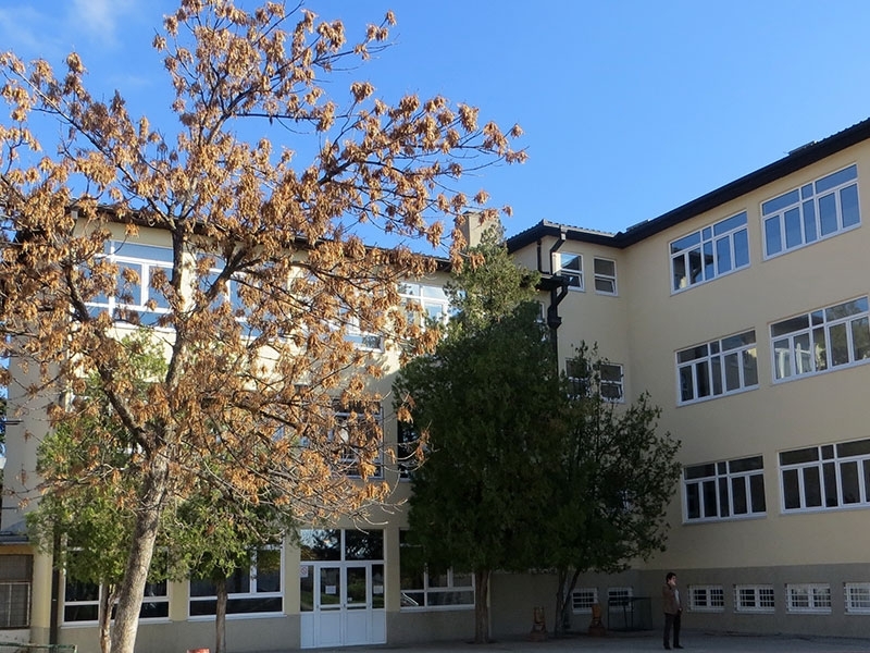 Osnovna škola Jovan Jovanović Zmaj Vranje