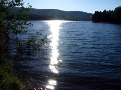 Vlasinsko-jezero
