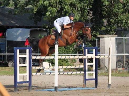 Konjički-sport---Savez-za-konjički-sport-Srbije-za-olimpijske-I-FEI-discipline.jpg