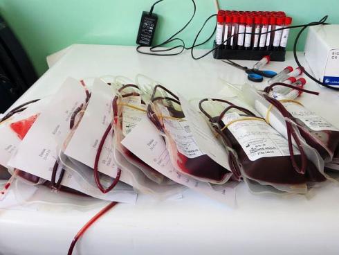 dobrovoljno davanje krvi foto i.m.