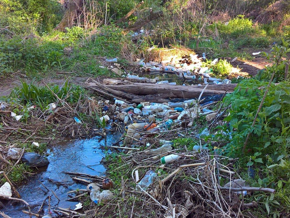 Na ušću Kutinske reke više smeća nego vode : Društvo : Južne vesti