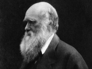 Pokrenuli peticiju da se preispita Darvinova teorija; foto: Wikipedia.org