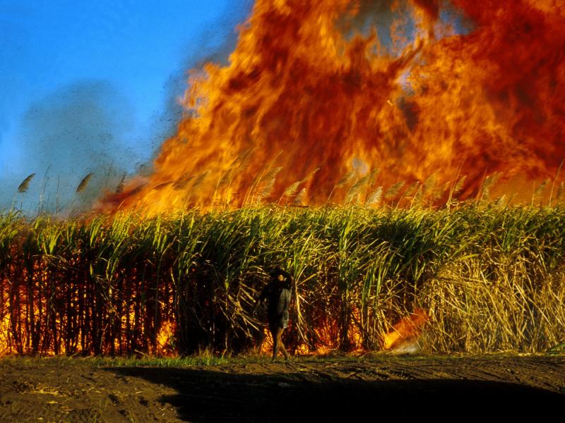 Požari česti u poljoprivrednoj sezoni