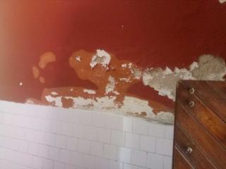 Oštećeni zidovi u toaletu