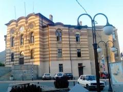 Vranje, Gradska uprava, Kosta