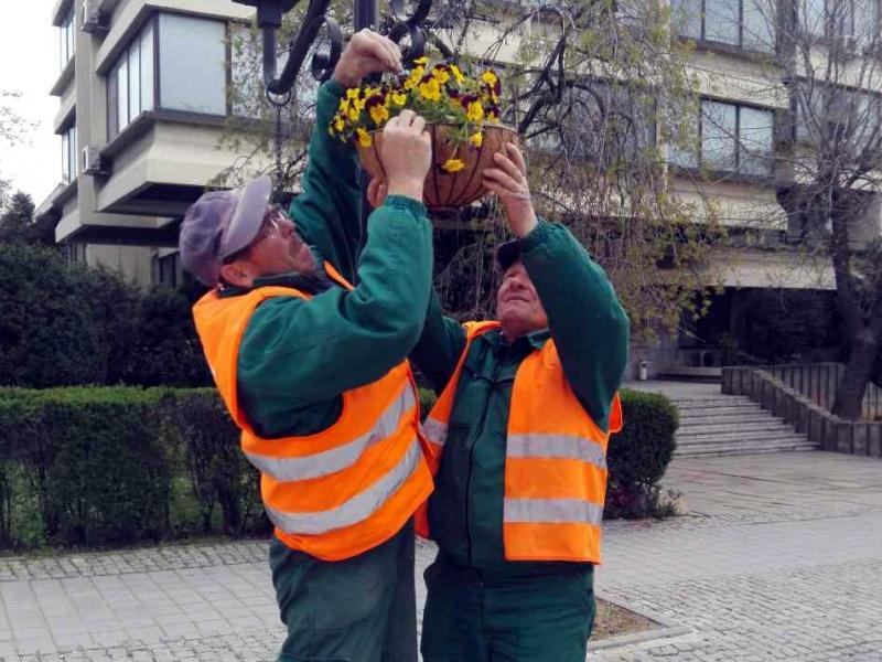 Radnici postavljaju cveće u Vranju; foto: I. M.