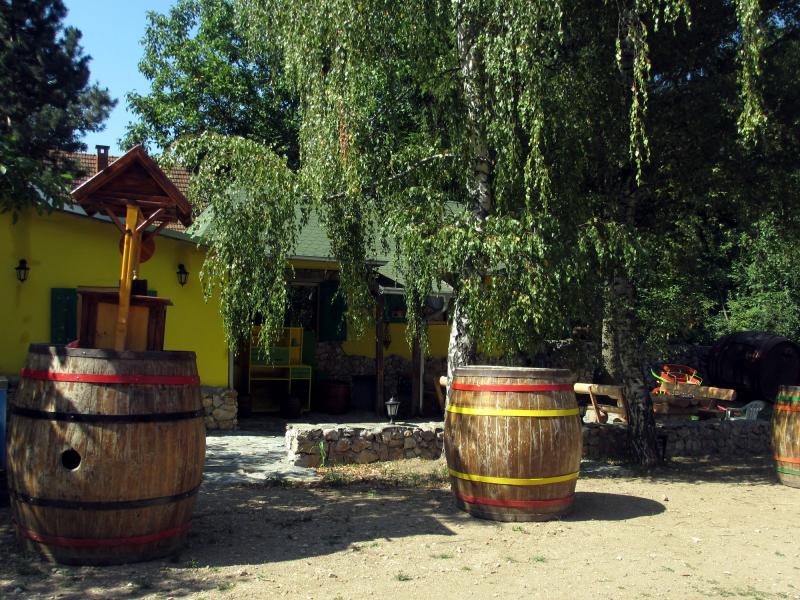 Žuta kuća zaštitni znak etno sela koje nastaje u Lipovcu; foto: JV/J. A.