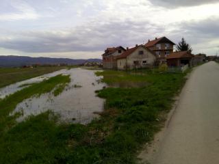 Poplavljena-polja-Bubanj-Selo-foto-U.-K
