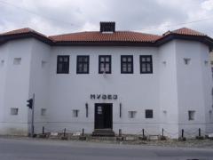 Muzej Vlasotince