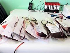 krv dobrovoljno davanje krvi foto i.m.