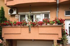 Najlepsi-balkon;-foto:-Opstina-Medijana