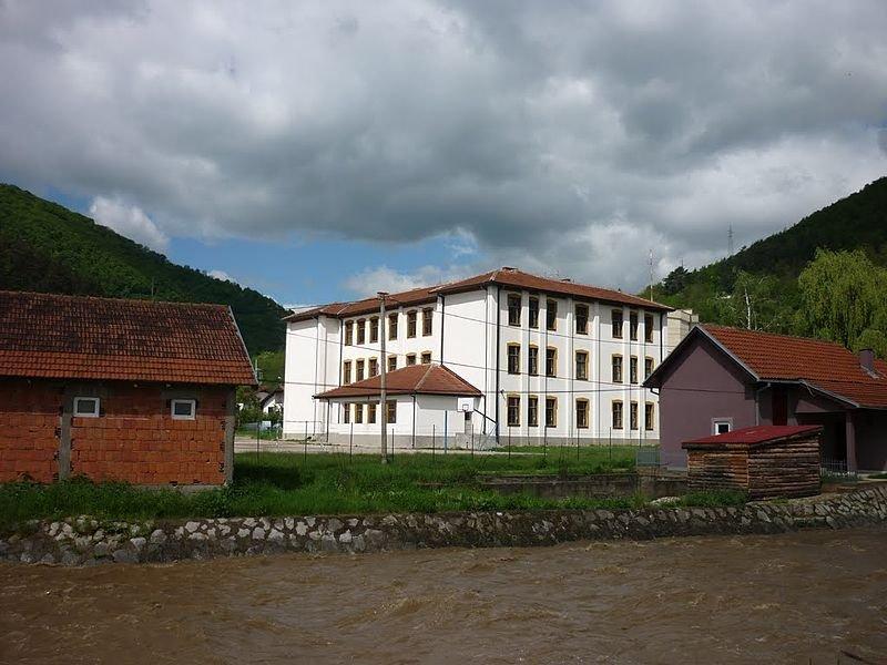 Gimnazija Bosilegrad 