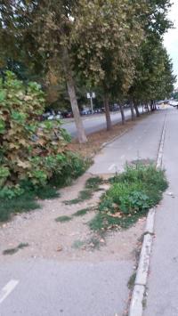 Oštećena biciklistička staza na Bulevaru Nemanjića