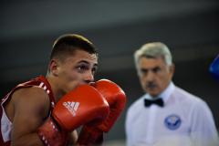 Naissus-Radnicki-Beograd-boks-11-foto-Juzne-vesti-Vanja-Keser