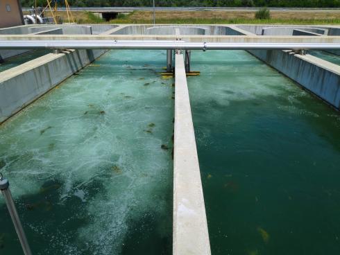 postrojenje za prečišćavanje otpadnih voda leskovac