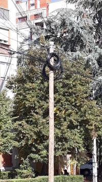 Somborski bulevar unakazen kablovima