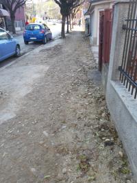 Raskopana Bozidaraceva ulica