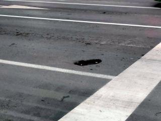 Rupa na asfaltiranom Bulevaru; foto: citalac-Prijavi problem