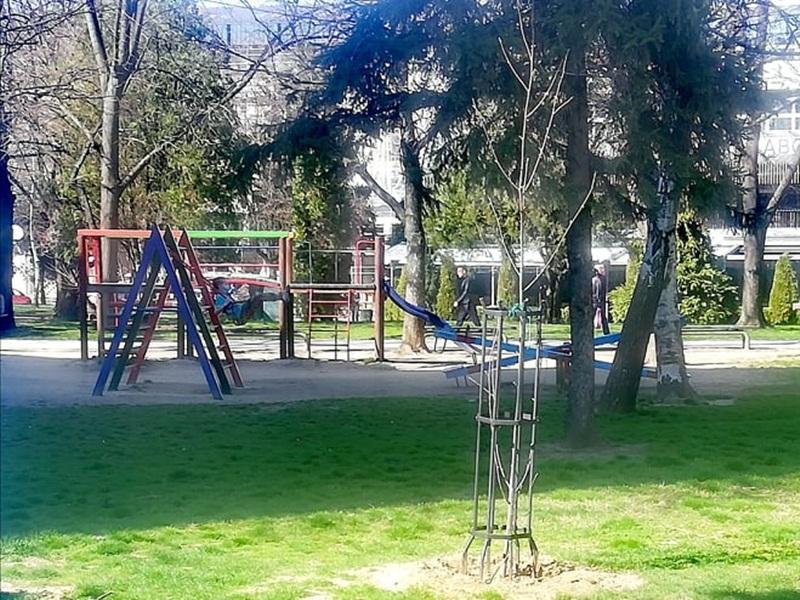 Park Leskovac 4, foto Bojana Stamenkovic