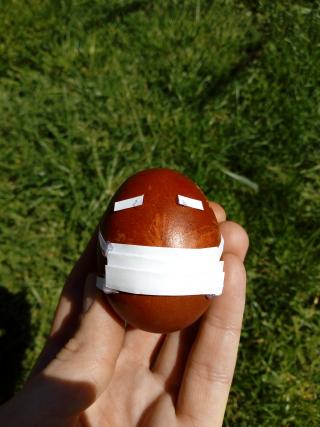 uskrnje jaje, uskrs 2020, foto jv nm