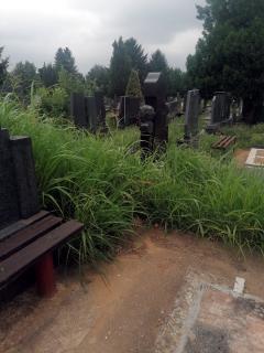 Groblje Nis, jul 2020; foto: citalac