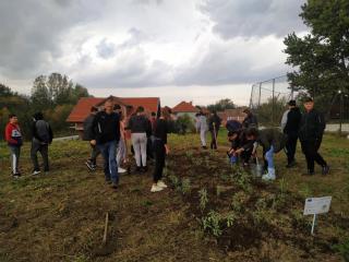 Učenici iz Trupala zasadili baštu u dvorištu škole 