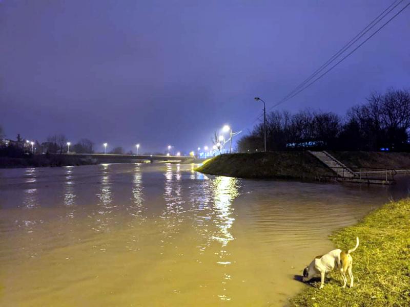Nisava poplave; foto: JV