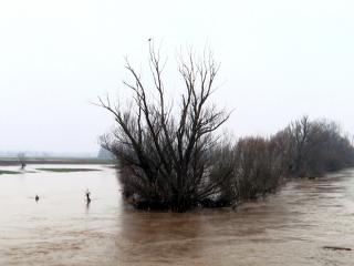 Poplavljene njive jug; foto: JV