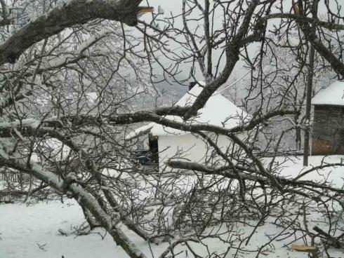stabla sneg