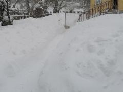 Sneg - Vlasina