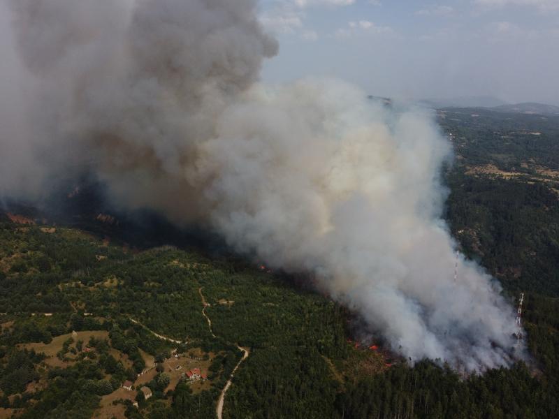 Požar Bosilegrad