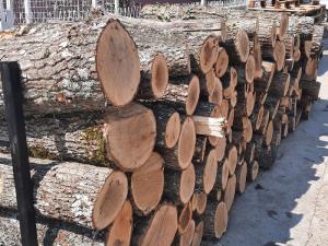 Slika broj 1344835. Trojica maloletnika i 18-godišnjak iz Vranja ukrali drva za ogrev iz dve škole