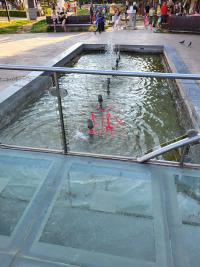 Jedina fontana u parku Svetog Save 
