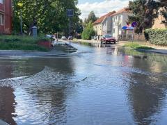 Milenka Stojkovića poplava