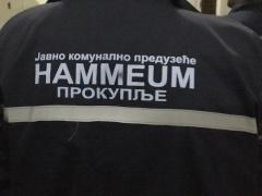 Hammeum