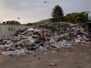 Slika broj 1364927. Prokupčani tvrde da privatni komunalci deponuju smeće u krugu firme, oni kažu da samo rade pretovar