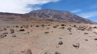 Nislije na Kilimandzaru 1, foto Preslap