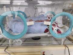 inkubator, decija klinika, nis, foto jv ljubica jocic
