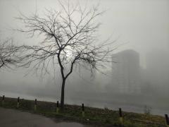 Zagađenje vazduha Niš, decembar 2022, slika3; foto: JV Ljubica Jocić