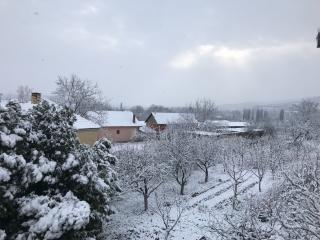 Sneg, januar 2023, Prokuplje, foto Ljubisa Mitic 3