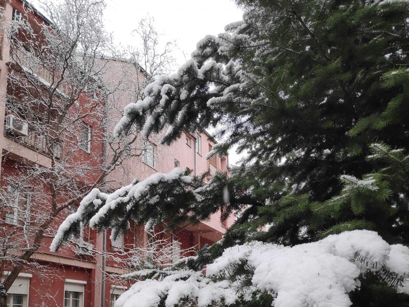 Nis, januar 2023 sneg, foto Tamara Radovanovic 1