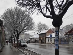 Nis, januar 2023 sneg, foto Tamara Radovanovic 2