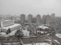 Sneg, Niš, januar 2023